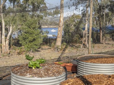 654 Abels Bay Road, Eggs And Bacon Bay