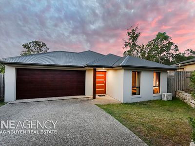 13 Dinnigan Cr, Durack