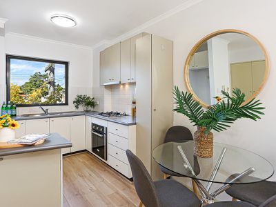 33 / 506 Botany Road, Alexandria