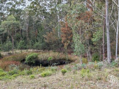 150 Potato Point Road, Bodalla