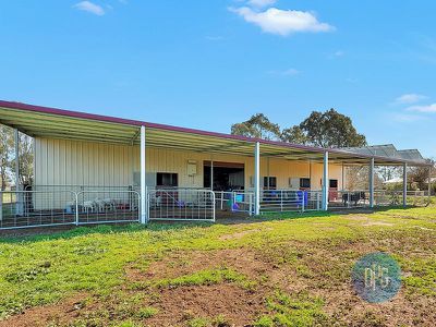 61 Forest Lane, Markwood