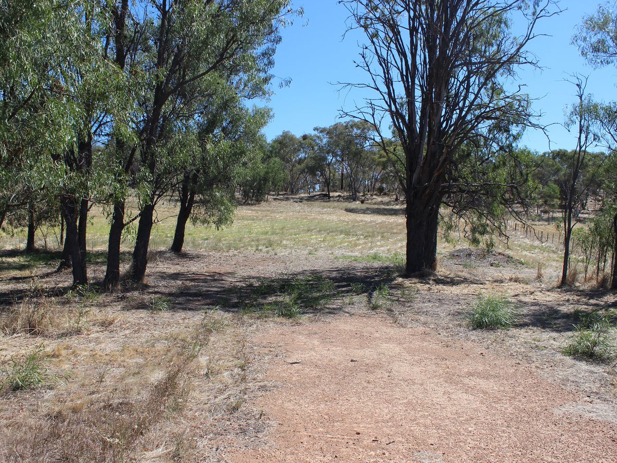 Lot 50, Lakeside Drive, Chesney Vale