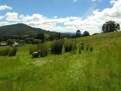 113 Watsons Road, Glen Huon