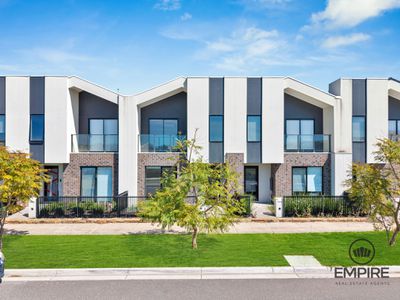 19 Stonefox Circuit, Clyde North