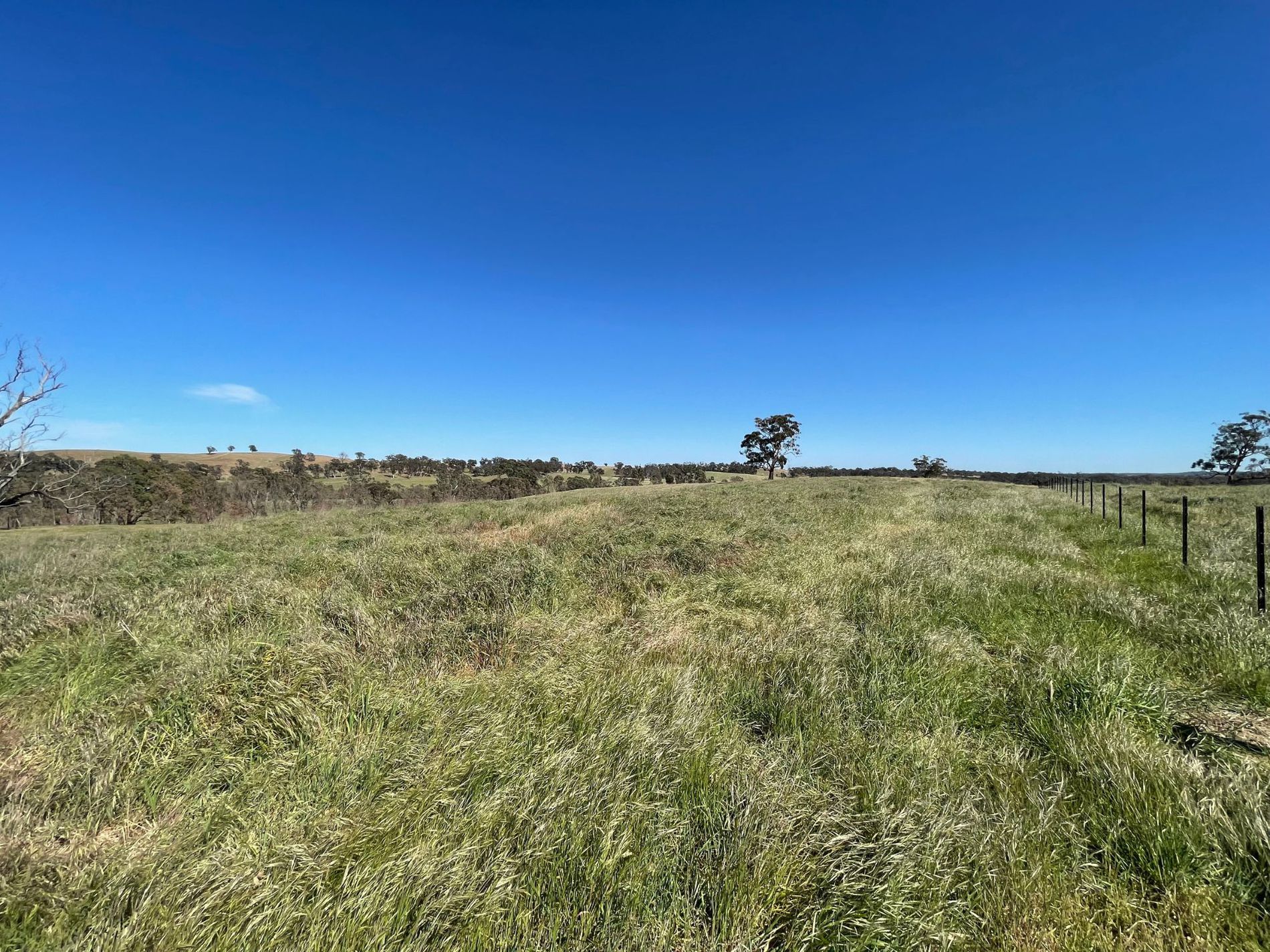 54 Thomas Lane, Heathcote