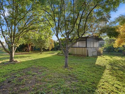 61 Goulburn Street, George Town