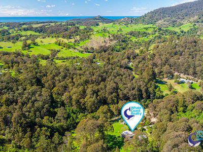 490 Punkalla Tilba Rd, Central Tilba