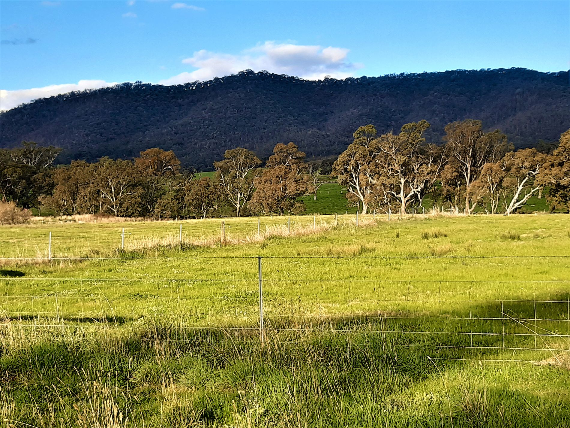 125 MAIN ROAD, Tallarook