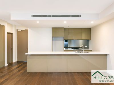 1503 / 209 Castlereagh Street, Sydney