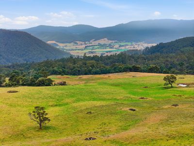 28834 Tasman Highway, Weldborough