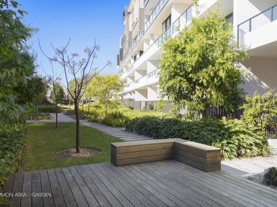 Rozelle