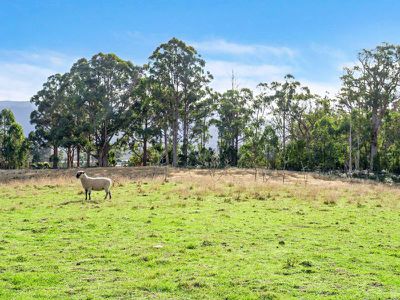 54 Turners Road, Cradoc