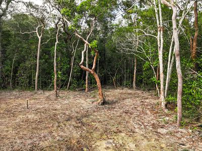 506 Cameron Creek Road, Cooktown