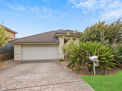 17 Mebbin Circuit, Woongarrah