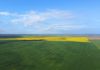 155 Claypans Road, Copeville