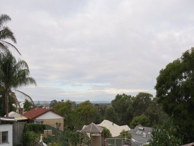 Mount Pleasant