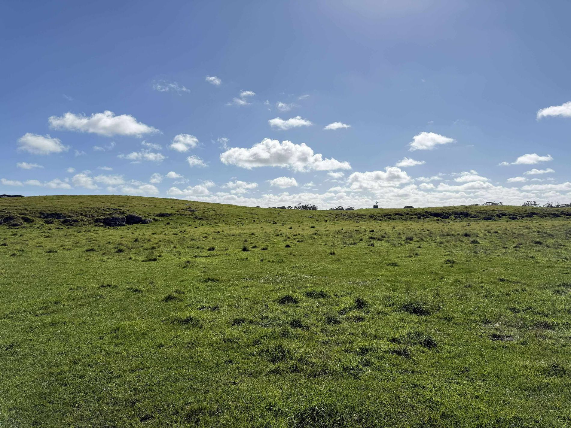 Lot 57, Kent Drive, Millicent