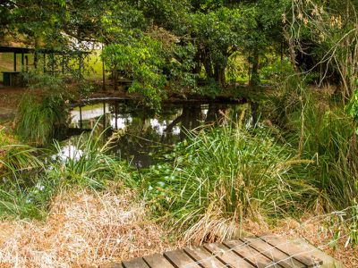 12 Shay Lane, Mapleton