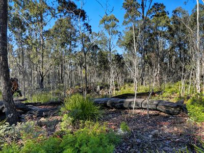 123 Lake View Road, Lake Leake