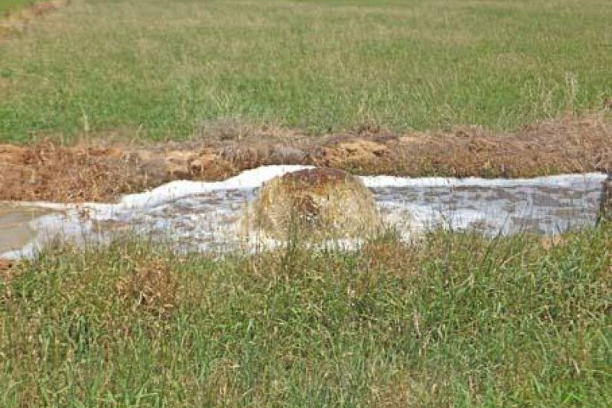 720 White Road, Girgarre