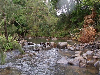 Maleny