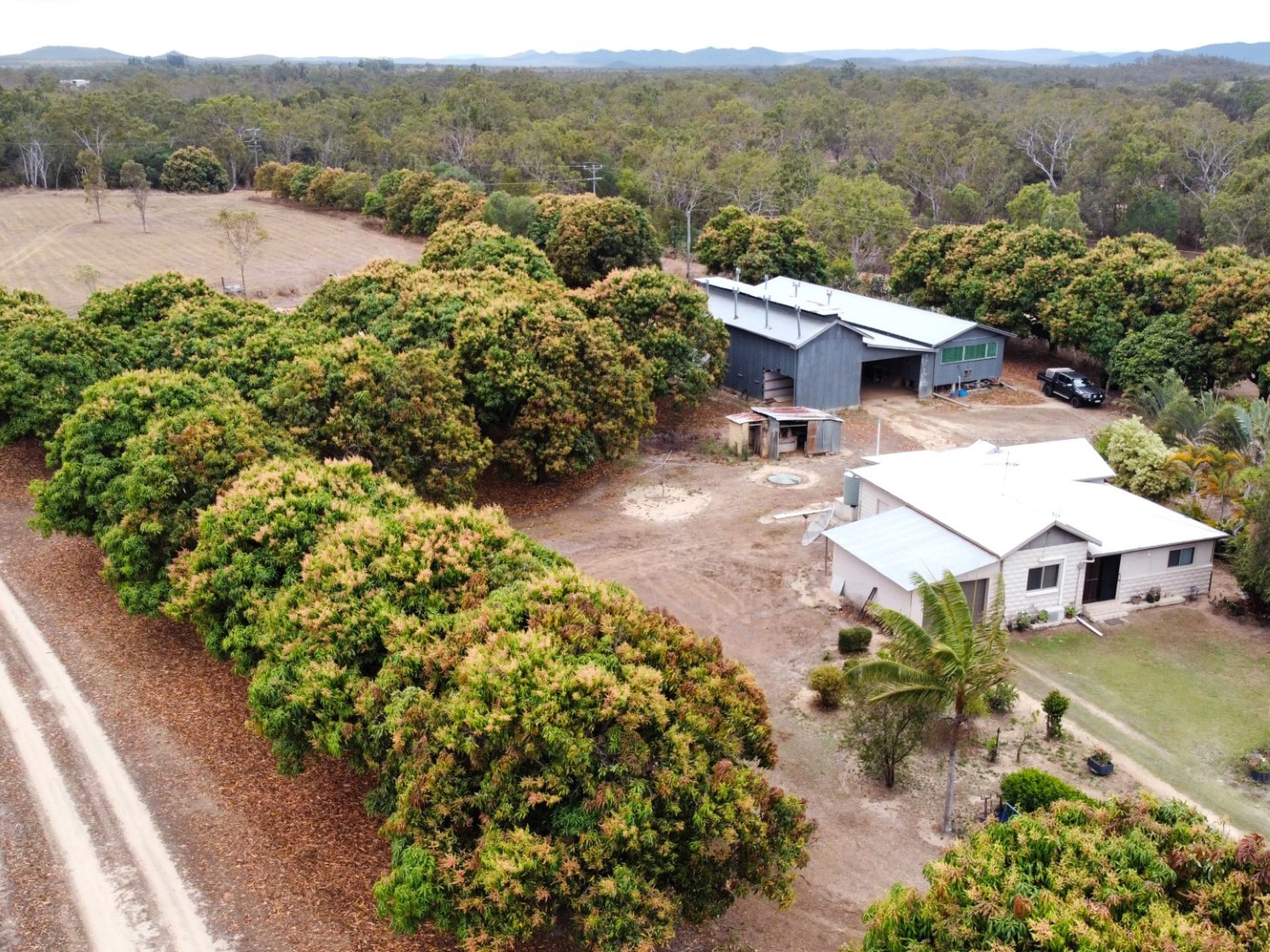 65 Raleigh Street, Dimbulah First National Real Estate Atherton