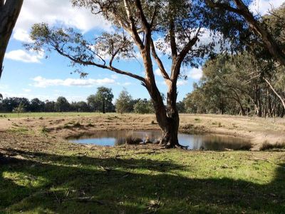 Settlers Road, Chiltern