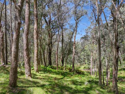 12 Bluebell Road, Braidwood