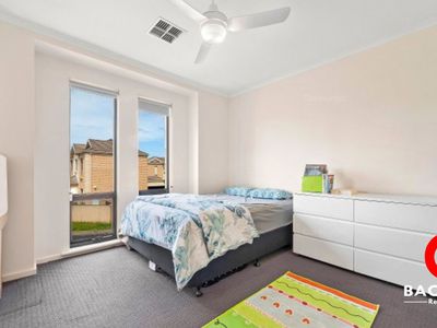 5 Cobblers Court, Mawson Lakes