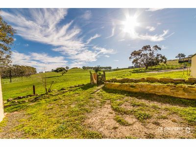 224 Burns Road, Mount Pleasant