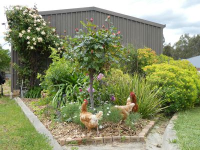 155 Highlands Road, Seymour