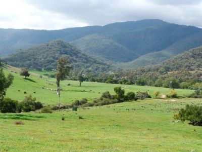 Koetong Creek Road, Granya
