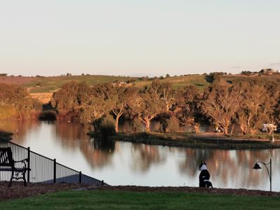 31 Spoonbill Court, Mannum