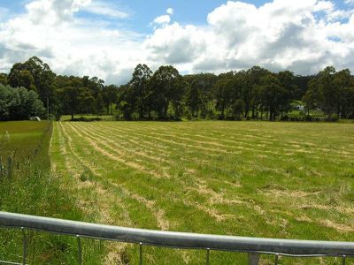 Reids Road, Cradoc