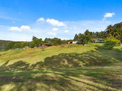 1242 Tuntable Creek Road, Nimbin