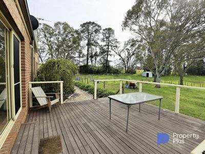 17 Twyford Street, Harcourt