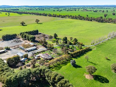 'Pastoria Park' 205 Balldale Road, Hopefield