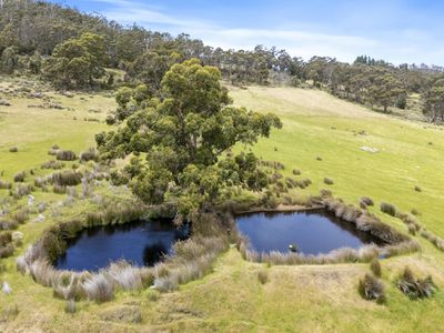 1004 Cygnet Coast Road, Wattle Grove