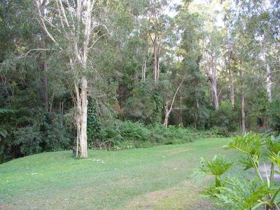 77 Griffith Ave, Tewantin