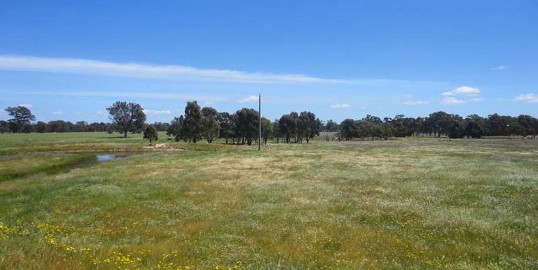 112 Jefferies Road Locksley, Avenel