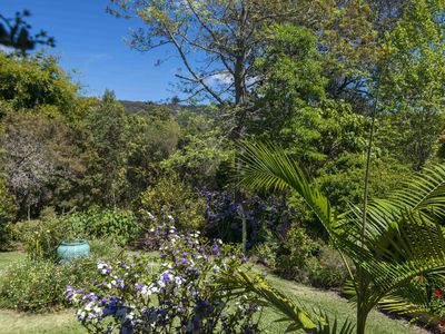 2394 NIMBIN ROAD, Nimbin