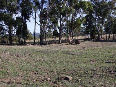 11 Maxfields Road, Franklin