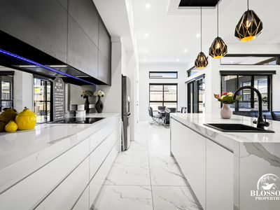 57 Ribbonwood Crescent, Marsden Park