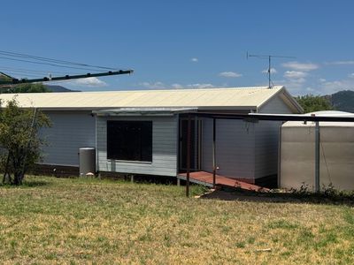 50 Porcupine Lane 'Seymour', Tintinhull