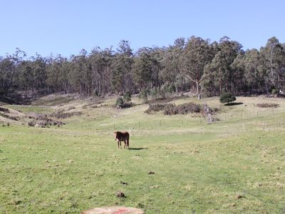 282 Judds Creek Road, Judbury