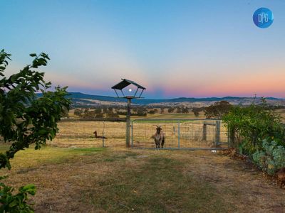 253 McLeod Lane, Mansfield