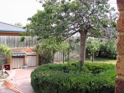 19 Briardale Drive, Werribee