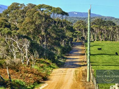 132 Plozza Road, Parryville