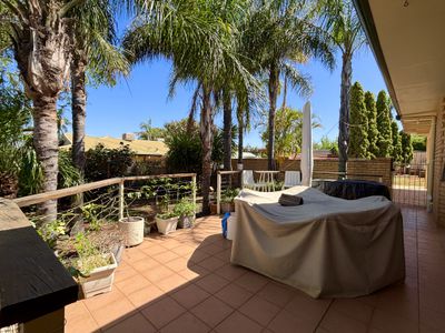 15 Jarvis Place, Hannans