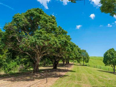 21 Shipway Road, Nimbin